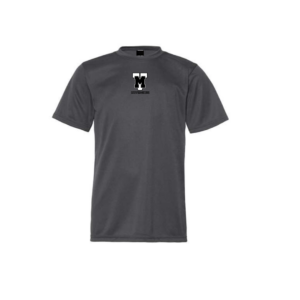 T-SHIRT DRYFIT JUNIOR GRIS